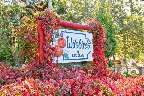 The Fall Season Comes To Life In Oak Glen, Southern California And A Trip Belongs On Your Bucket List