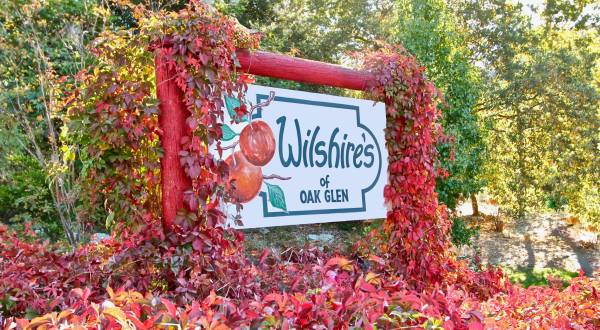 The Fall Season Comes To Life In Oak Glen, Southern California And A Trip Belongs On Your Bucket List