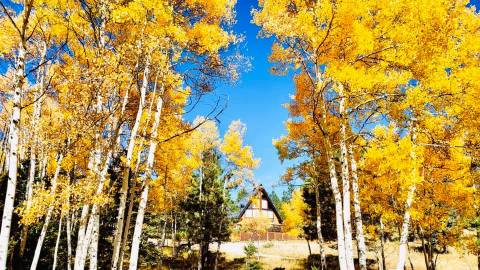 Experience The Fall Colors Like Never Before With A Stay At The Aspen Grove Lodge In New Mexico