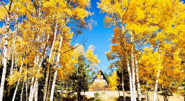 Experience The Fall Colors Like Never Before With A Stay At The Aspen Grove Lodge In New Mexico