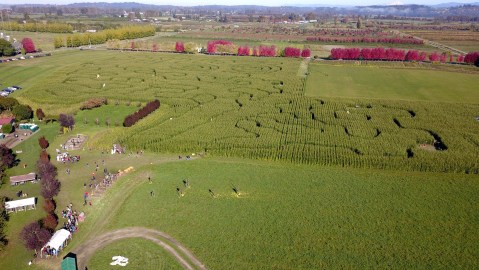 Nothing Says Fall Is Here More Than A Visit To Washington's Charming Craven Farm