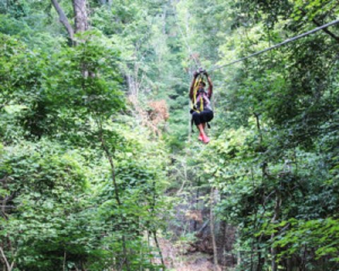 You'll Feel Like A Kid Again Riding This Epic Zip Line At Shawnee Bluffs Canopy Tour In Illinois