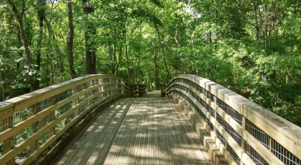 The 150 Acres At The Acadiana Park Nature Station Will Bring Out The Explorer In You