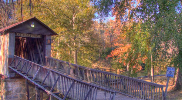 Experience Some Of Alabama’s Most Beautiful Fall Colors From These 8 Destinations