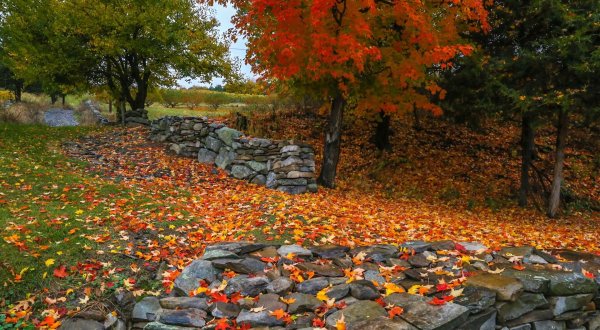 Spend Your Next Fall Adventure In This Beautiful Small Town In New York