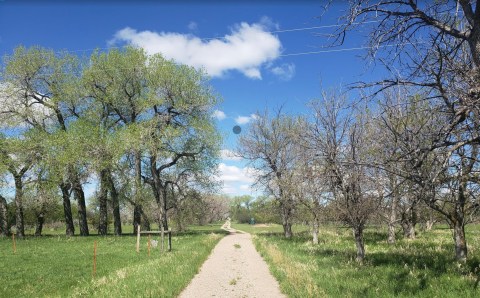 High Plains Arboretum Is A Fascinating Spot in Wyoming That's Straight Out Of A Fairy Tale