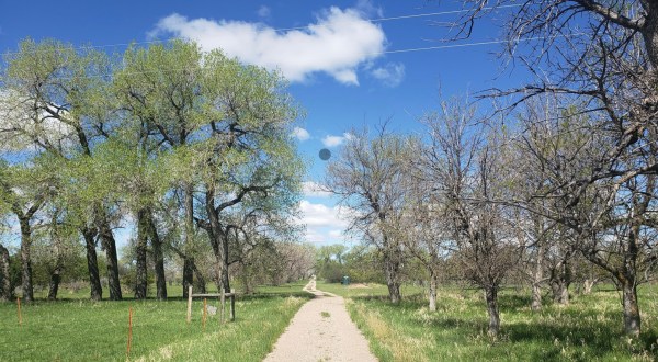 High Plains Arboretum Is A Fascinating Spot in Wyoming That’s Straight Out Of A Fairy Tale