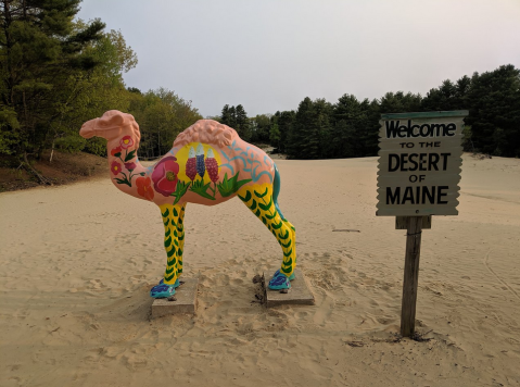 This Desert Is An Inexpensive Road Trip Destination In Maine That's Affordable