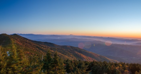 This Day Trip To Mount Mitchell State Park Is One Of The Best You Can Take In North Carolina