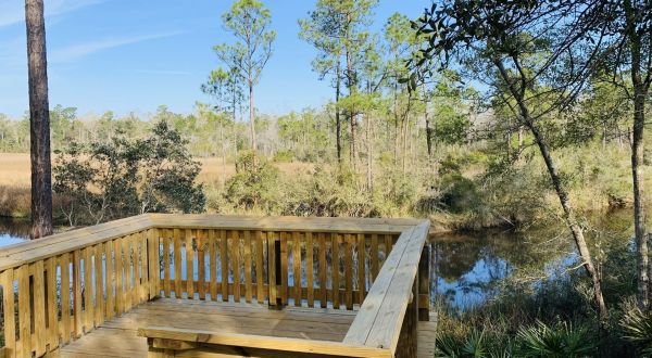The Fontainebleau Nature Trail Might Be One Of The Most Beautiful Short-And-Sweet Hikes To Take In Mississippi