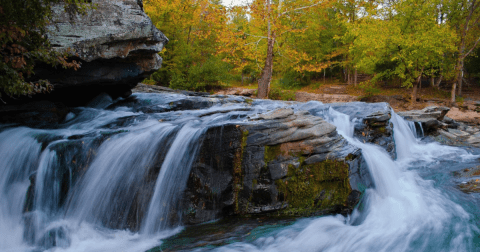 You'll Be Surrounded By Beautiful Fall Colors At Alabama's Turkey Creek Nature Preserve