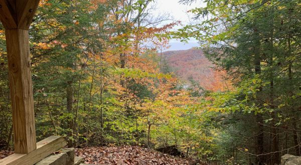 Catch The Last Of Ohio’s Fall Color On The 2-Mile Shawnee State Park Lookout Trail
