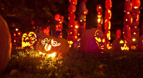 Why New York’s Great Jack-O-Lantern Blaze Is the Best Way To Celebrate Halloween
