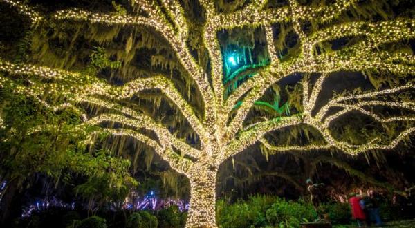 Brookgreen Gardens’ Beloved Nights Of A Thousand Candles Will Be Returning To South Carolina
