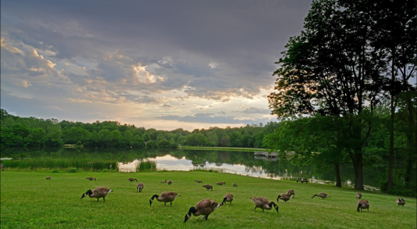 Explore The Pristine Geist Reservoir When You Visit This Underrated Indiana State Park