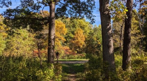 Take An Easy Hike Through Iowa’s Yellow River State Forest For A Gorgeous Autumn Scene