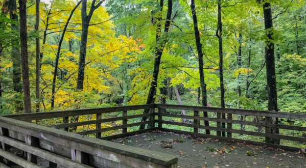 The 1.8-Mile Witch Hazel Trail In Michigan Takes You Through The Enchanting Ringwood Forest