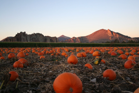 Smith Rock Ranch Is The Perfect Place To Get Your Halloween Pumpkin In Oregon This Season