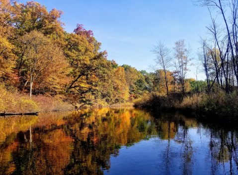Experience The Fall Colors Like Never Before With A Stay At Proud Lake Campground Near Detroit