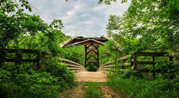 There’s A Secret Bridge Hidden In The Chengwatana State Forest In Minnesota, And It Is Truly Beautiful