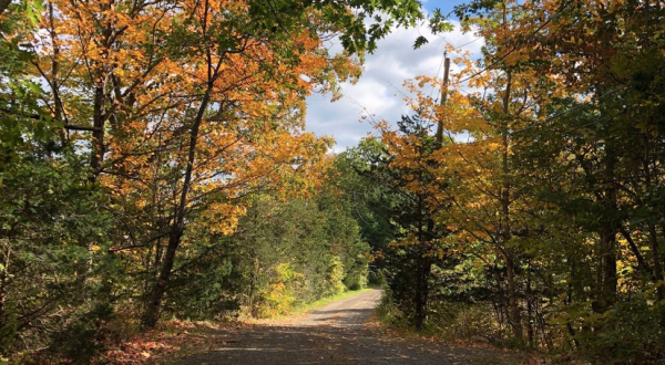 An Unassuming 1-Mile Hike In Connecticut, The Farm River State Park Trail Is Full Of Peaceful Views