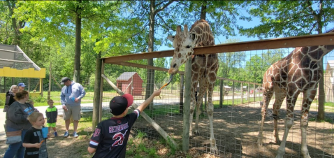 Most People Don’t Know About This Underrated Zoo Hiding Just Outside Of Detroit