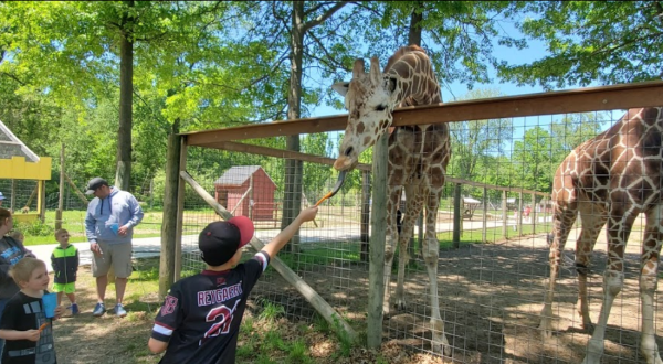 Most People Don’t Know About This Underrated Zoo Hiding Just Outside Of Detroit