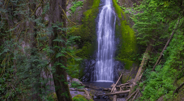 Marymere Falls Trail Is A 1.7-Mile Hike In Washington That Leads You To A Pristine Waterfall