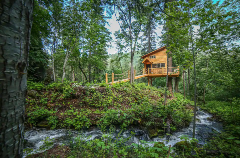 Sleep In A Treehouse Above A Tranquil Creek At This Washington Retreat