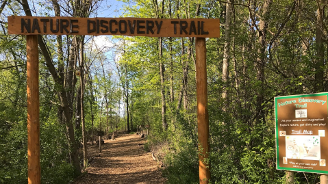 The Trail Near Detroit That Will Lead You On An Adventure Like No Other