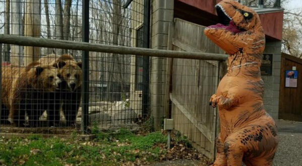 Go Trick-Or-Treating At The Dakota Zoo In North Dakota For A Memorable Family-Friendly Event