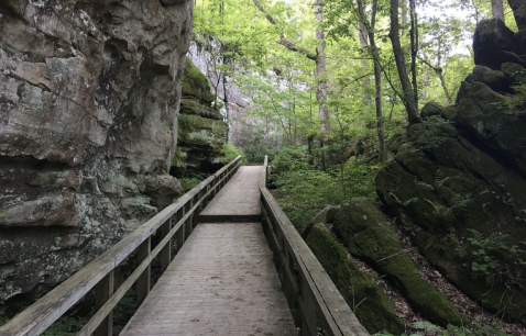 The Giant City Nature Trail Might Be One Of The Most Beautiful Short-And-Sweet Hikes To Take In Illinois