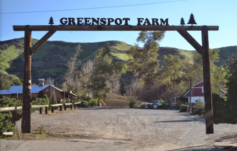 The Little-Known Farm In Southern California, Greenspot Farms, That Turns Into A Pumpkin Paradise This Time Of Year