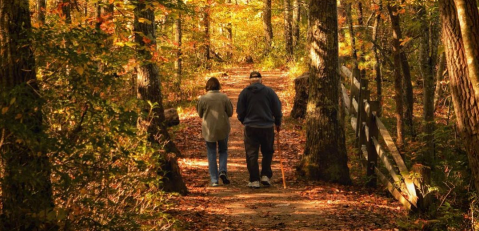 Take A Walk In The Woods Along The Easy Chimney Top Hiking Trail In Kentucky