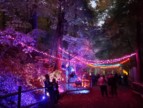 The Whimsical One-Mile IllumiZoo Experience In Michigan Will Take You On A Spectacular Nighttime Adventure
