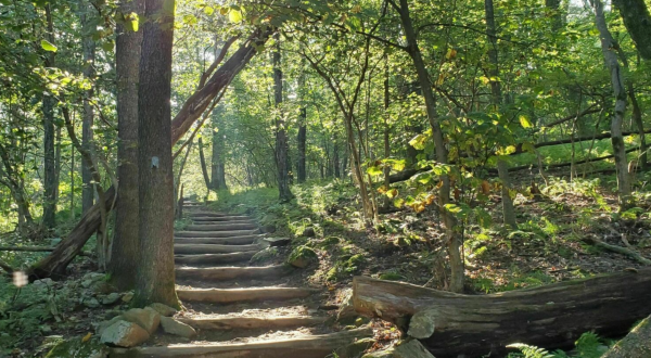 Scramble Your Way Up Bearfence Mountain, A 1-Mile Trail With Some Of The Best Views In Virginia
