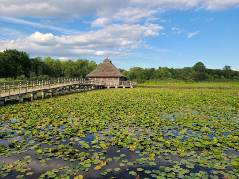 Crosswinds Marsh Park Near Detroit Has Endless Boardwalks And You'll Want To Explore Them All