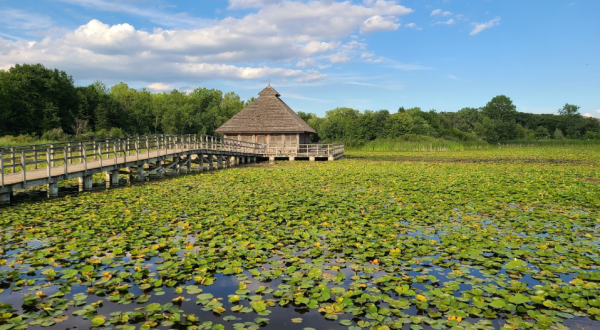 Crosswinds Marsh Park Near Detroit Has Endless Boardwalks And You’ll Want To Explore Them All