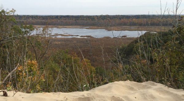 There Are Three Ancient Lakes Hiding Behind The Dunes At Grand Mere State Park In Michigan