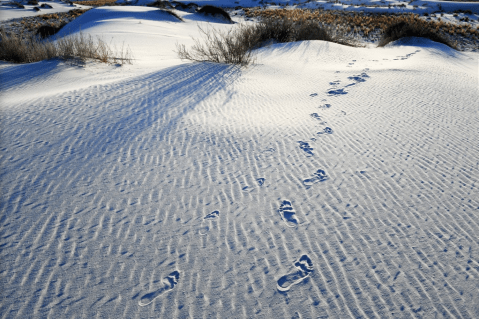 Ancient Human Footprints Were Discovered Among Thousands Of Fossils At White Sands National Park In New Mexico