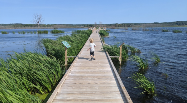 Walk On Water When You Explore The Whimsical Arcadia Marsh Boardwalk In Michigan