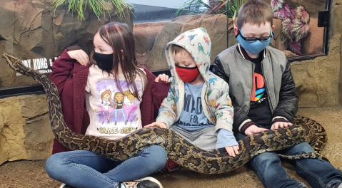 The Reptarium Is A Reptile Zoo In Michigan Where You Can Interact With Incredible Creatures
