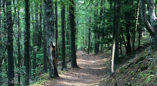 The 1-Mile The Pinnacle Trail In New Hampshire Takes You Through The Enchanting Hookset Forest