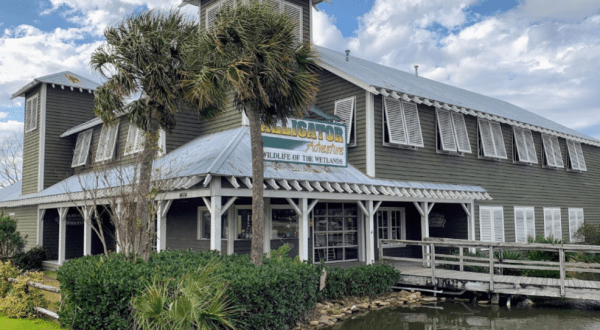 The Off-Season Is The Absolute Best Time To Visit Alligator Adventure, A Terrifying And Fascinating Attraction In South Carolina