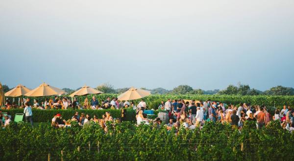 Wölffer Estate Vineyard In New York Has Its Very Own Rosé Drive-Thru