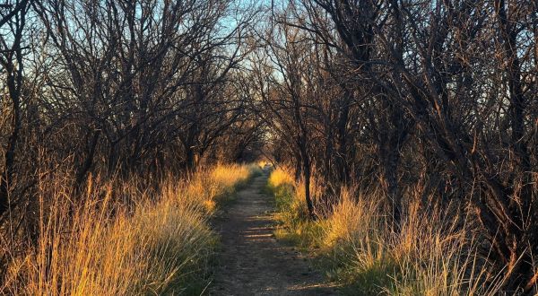 Hike Through A Ghost Town Cemetery On Fairbank Loop In Arizona
