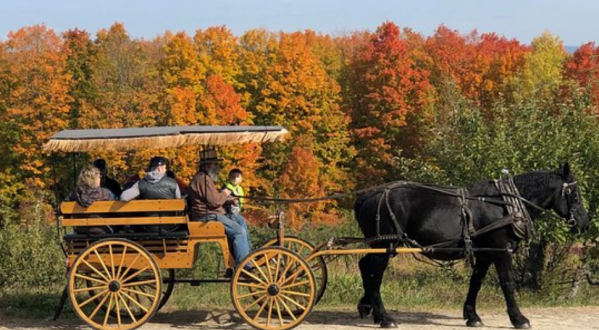 Nothing Says Fall Is Here More Than A Visit To New Hampshire’s Charming Apple Farm