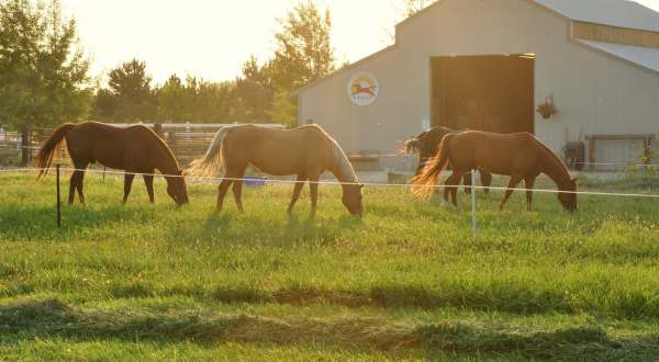 Get A Taste Of The Simple Life With A Stay At The B&B Horse Motel At Sweet Pepper Ranch In Idaho
