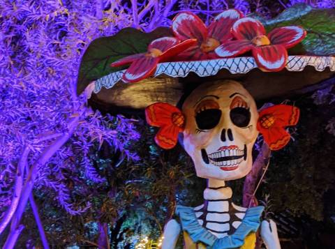 Walk Through A Sea Of Skeletons At The Tucson Botanical Gardens' Day Of The Dead Display In Arizona