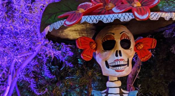 Walk Through A Sea Of Skeletons At The Tucson Botanical Gardens’ Day Of The Dead Display In Arizona